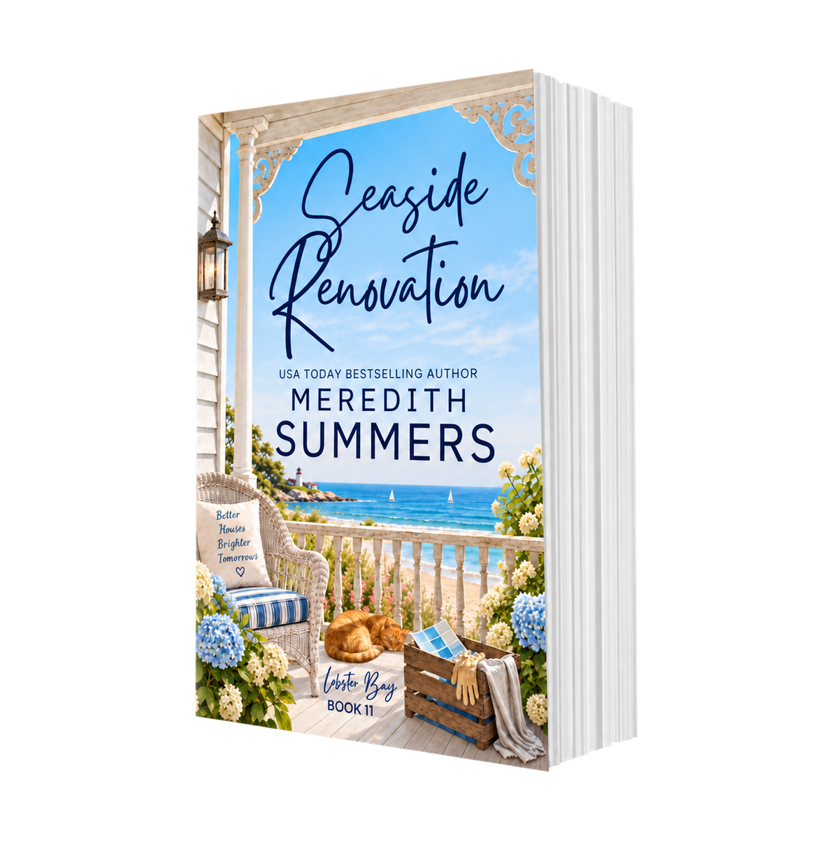 Seaside Renovation (Paperback)